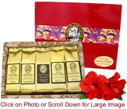 Most Popular Kona Hawaiian Gourmet Coffee Sampler Gift for All Occasions, Brews 60 Cups